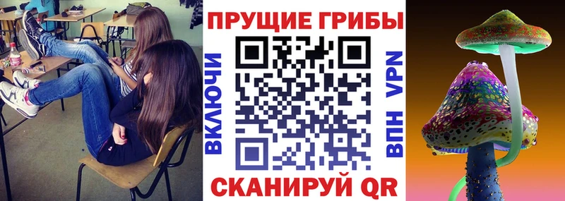 Псилоцибиновые грибы Cubensis  Белинский 